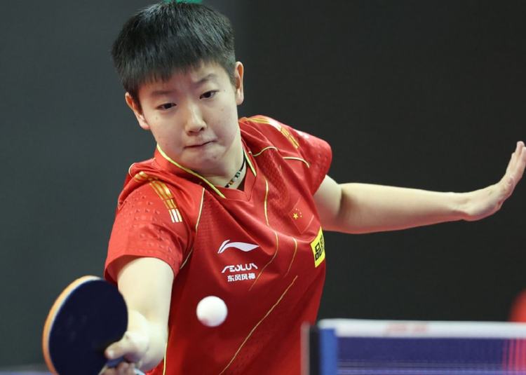 追梦提到自 追梦提到自